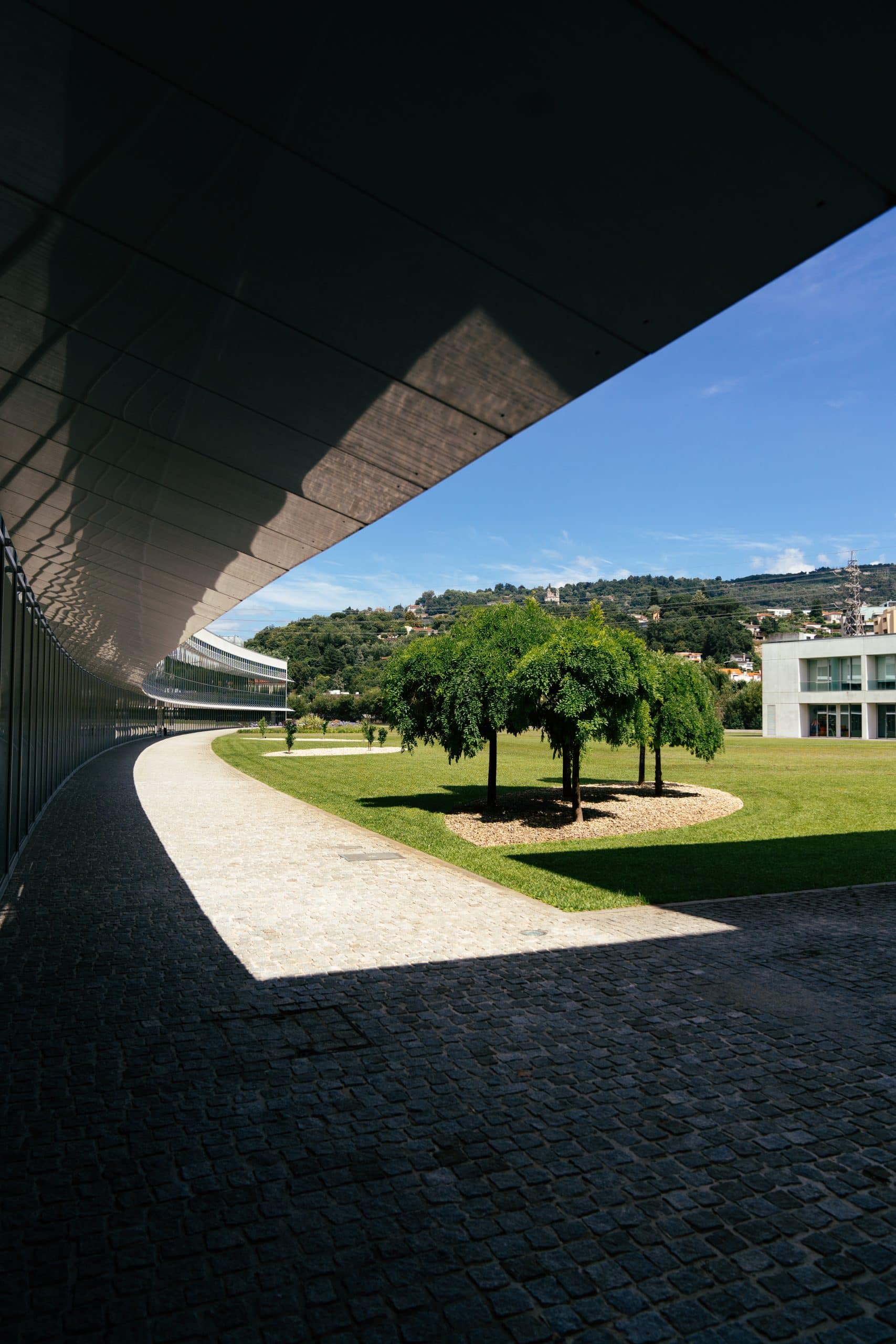 Innovation Ecosystem