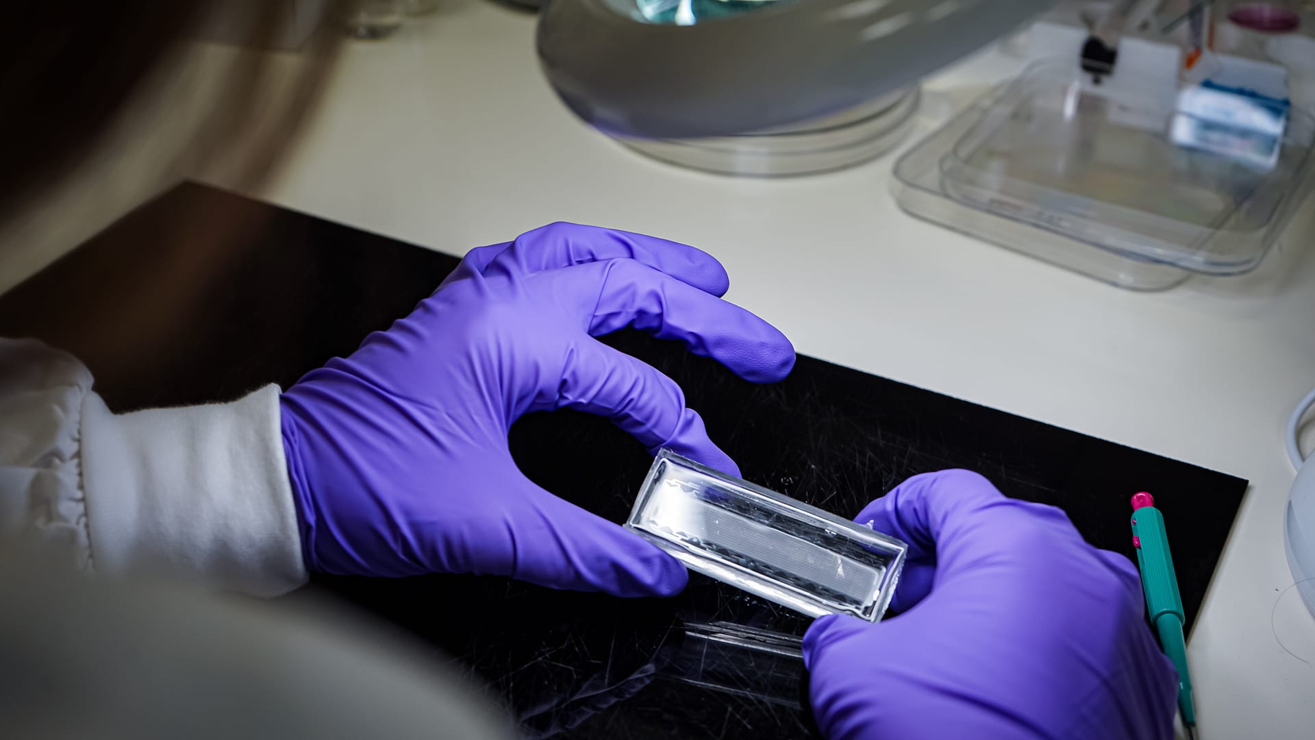 INL Workshop on Medical Devices Helps Shape EU Policy Milestone in Advanced Materials