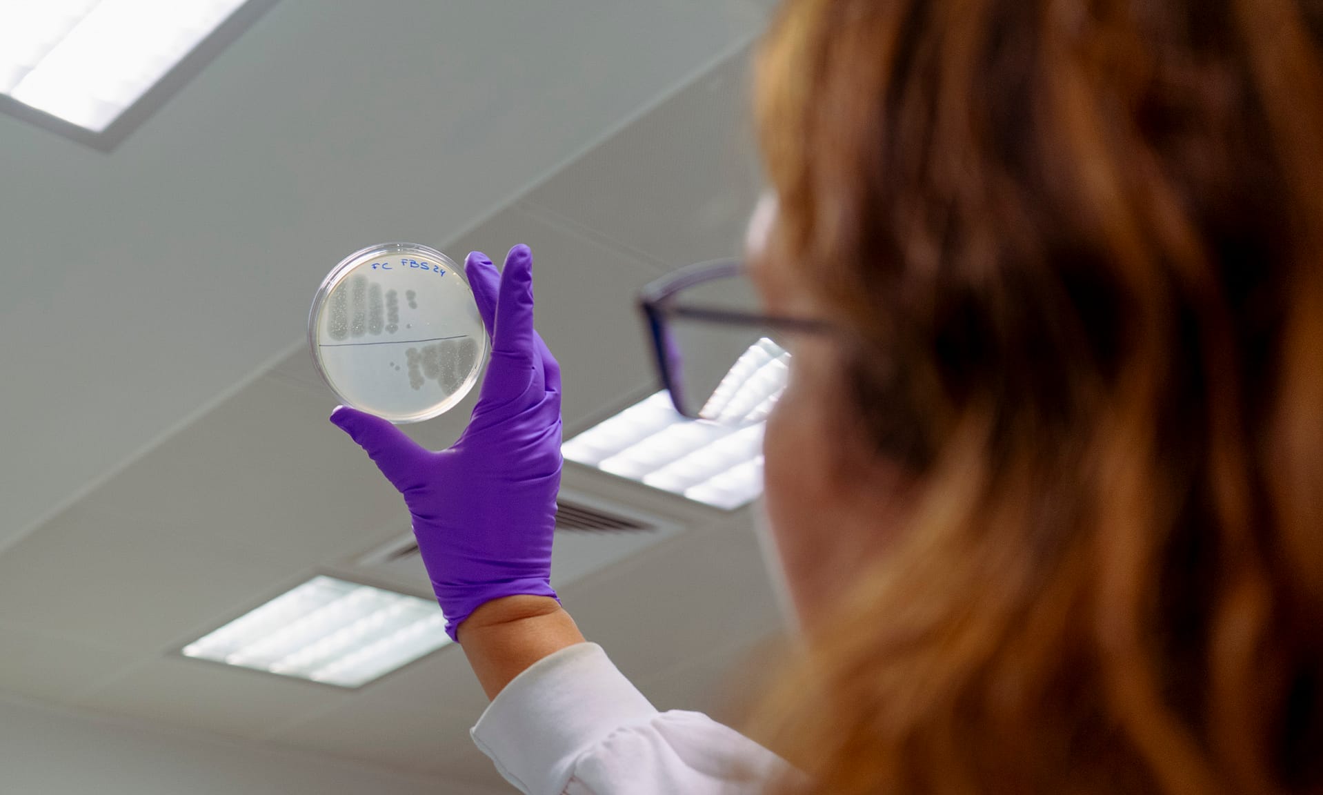 A new ally against food contamination, developed by INL researchers