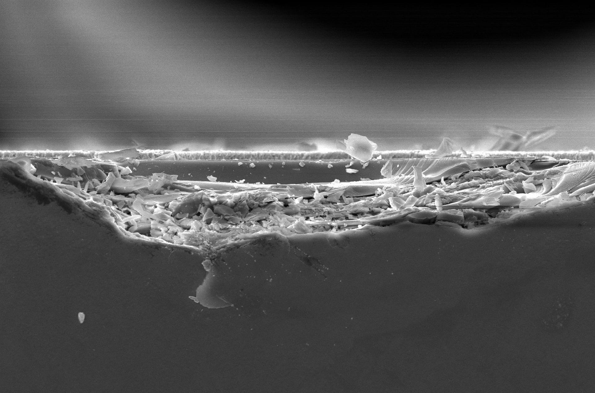 Capturing the Future: Winners of the European Researchers’ Night 2025 Photo Contest Announced