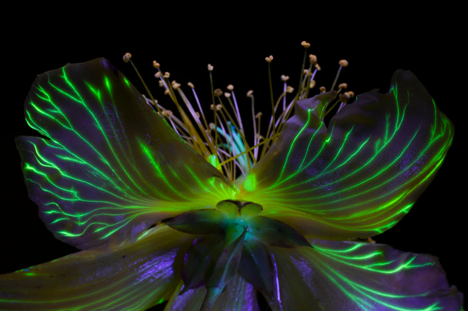 INL Launches the 2025 Photo Contest: Capturing Science Through Creativity