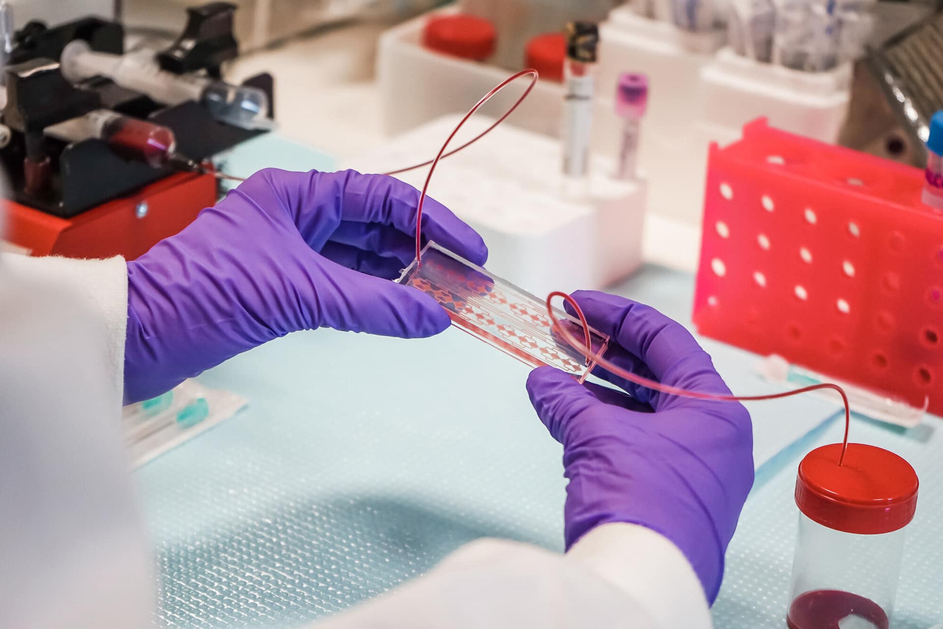 RUBYNANOMED, INL spin-off, one of 65 innovative start-ups and SMEs to receive €363 million EIC funding